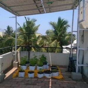 WhatsApp Image 2024-05-20 at 8.41.32 PM (1)